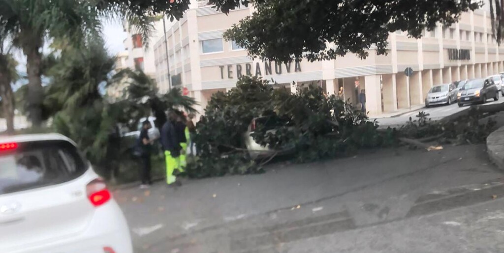 reggio calabria ramo auto