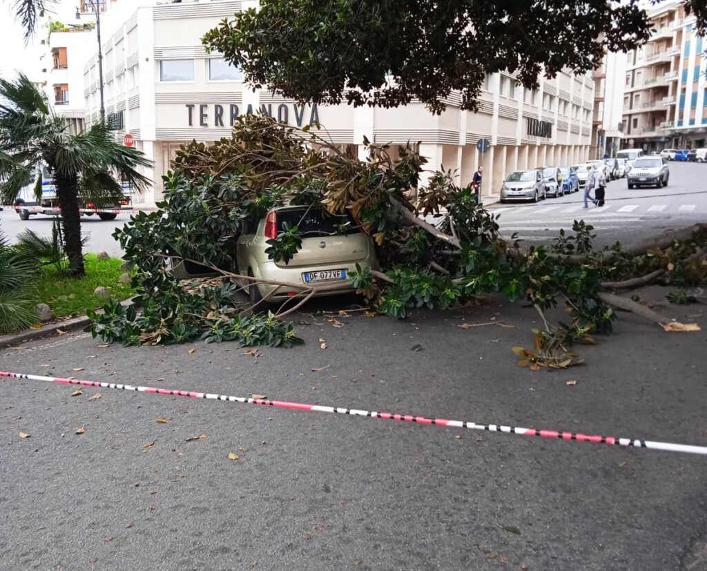 reggio calabria ramo auto transito