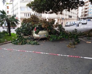 reggio calabria ramo auto transito