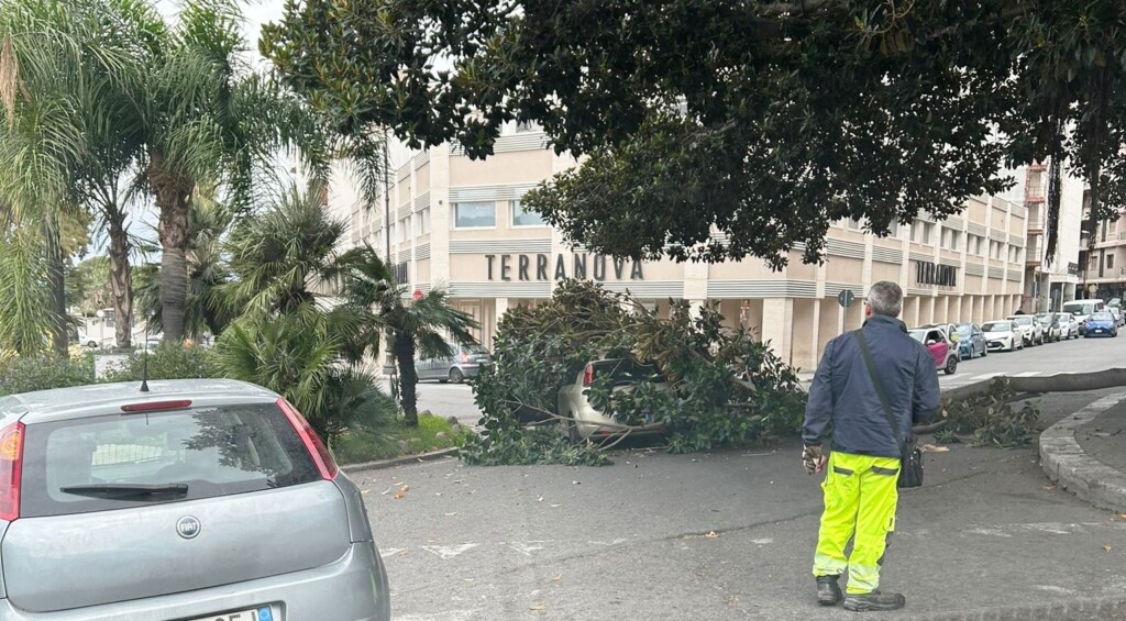 reggio calabria ramo auto transito