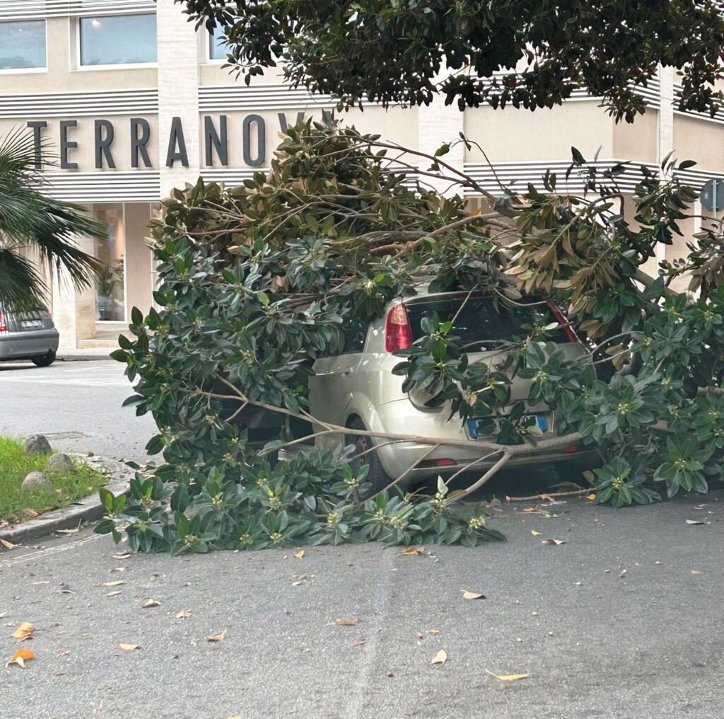 reggio calabria ramo auto transito
