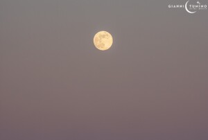 Cintura di Venere Luna Gianni Tumino