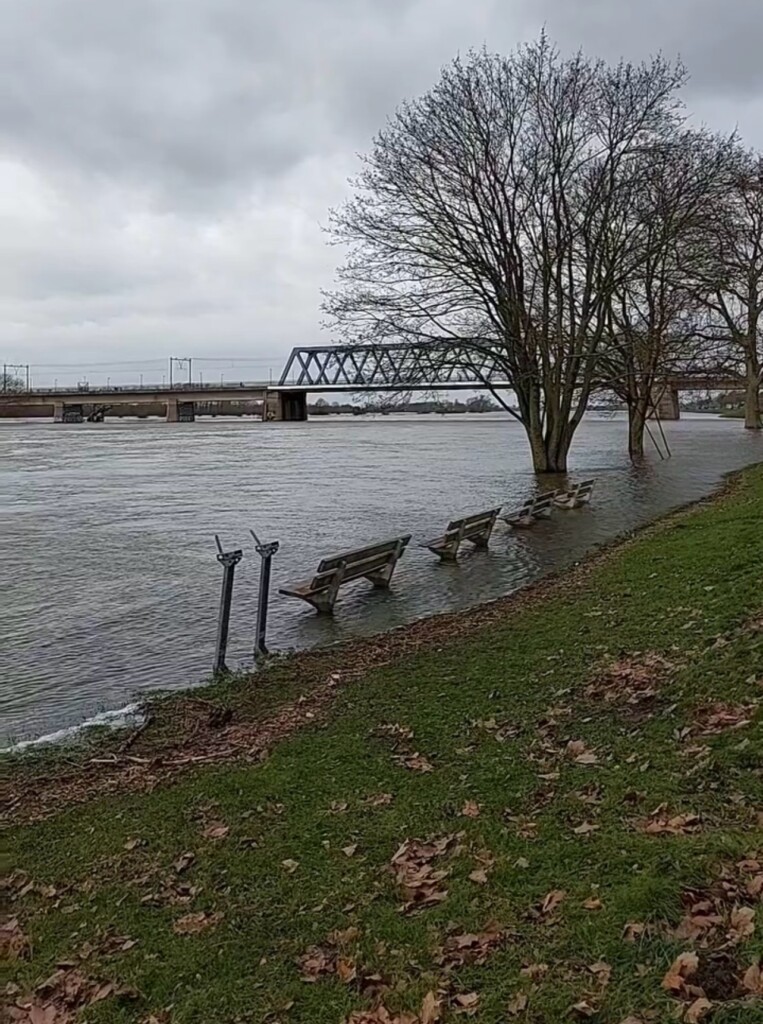 Deventer Paesi Bassi Inondazioni