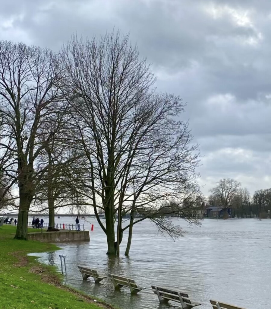 Deventer Paesi Bassi Inondazioni