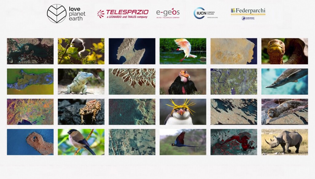 Love Planet Earth calendario specie rischio aree protette