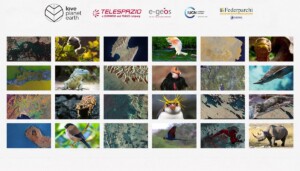 Love Planet Earth calendario specie rischio aree protette
