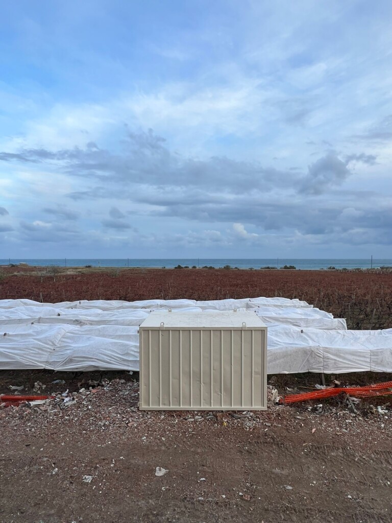 PALAZZO-MANGERUA-PREPARAZIONE