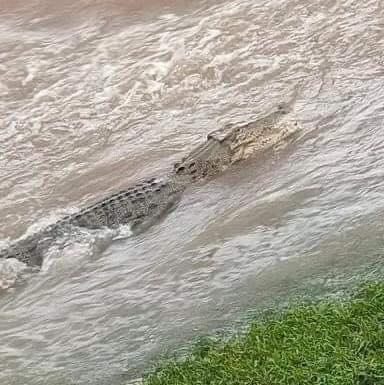 alluvioni australia queensland