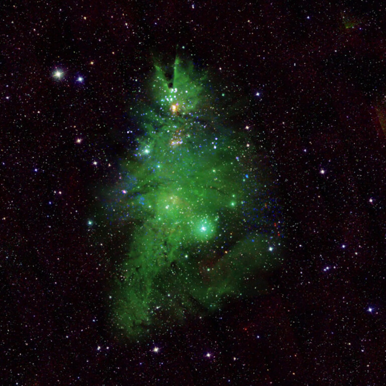 ammasso di stelle NGC 2264