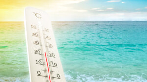 caldo mediterraneo bollente ondata calore