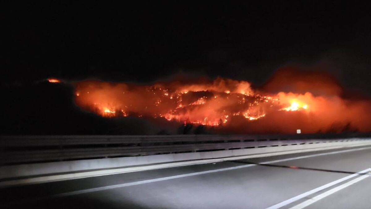 incendi piemonte Montecrestese, Ossola