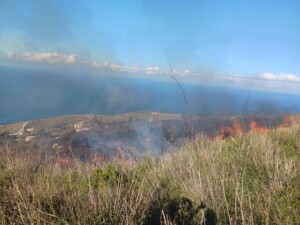incendio fontanarossa sicilia