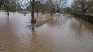 inondazioni germania smart city