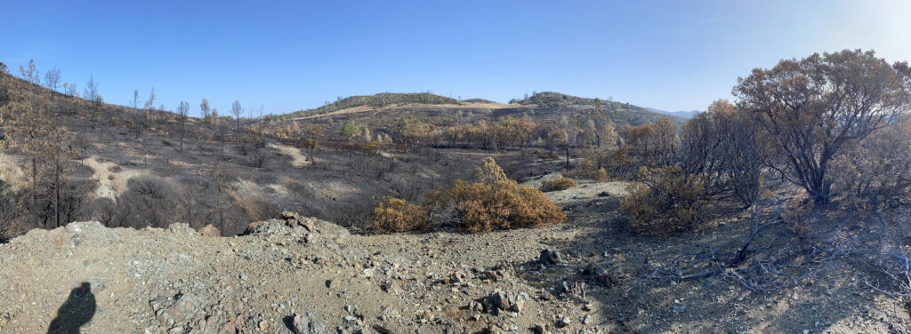 metalli pesanti incendi boschivi