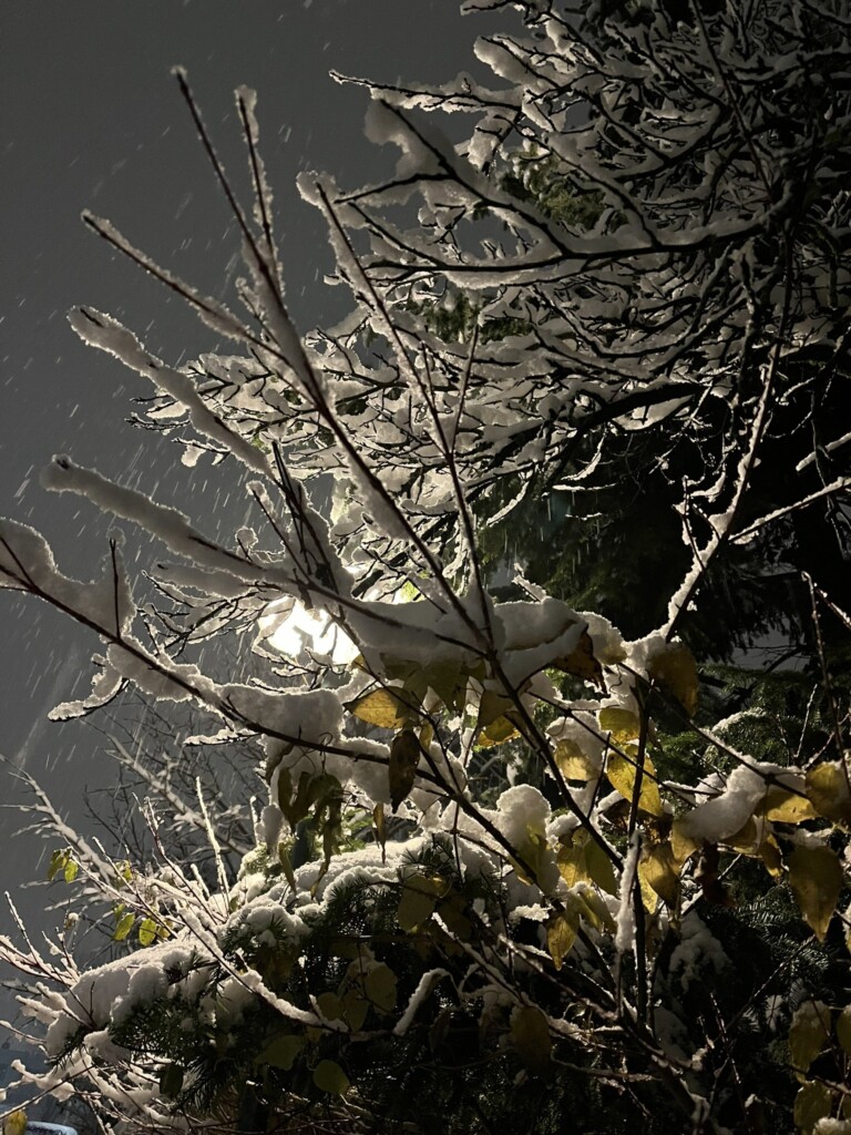 neve austria