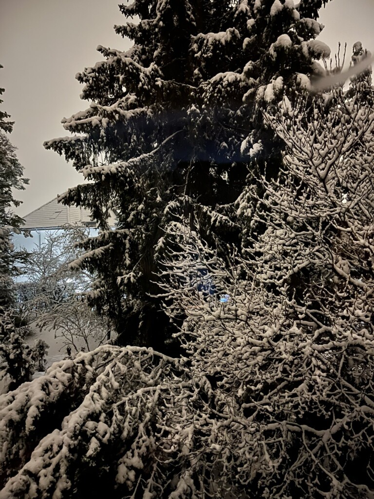 neve austria