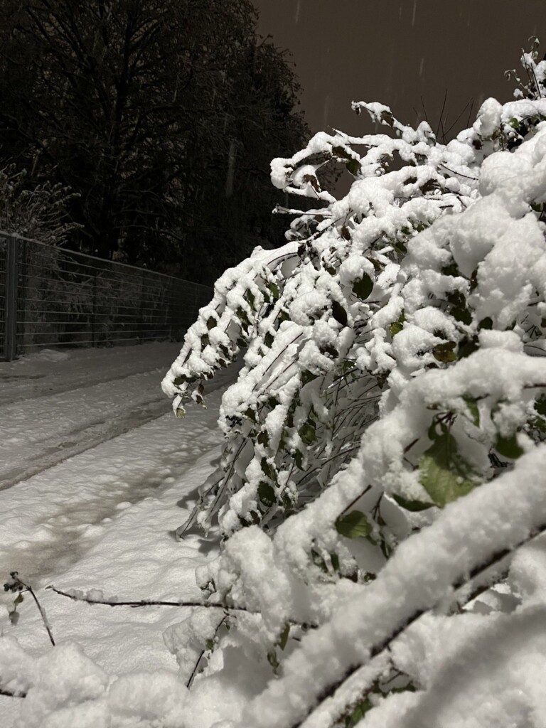 neve austria