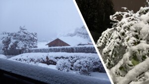 neve austria