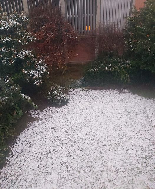 neve bologna 5 dicembre