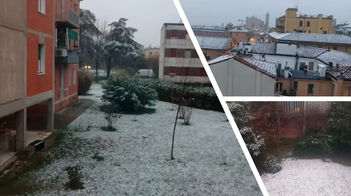 neve bologna oggi 5 dicembre