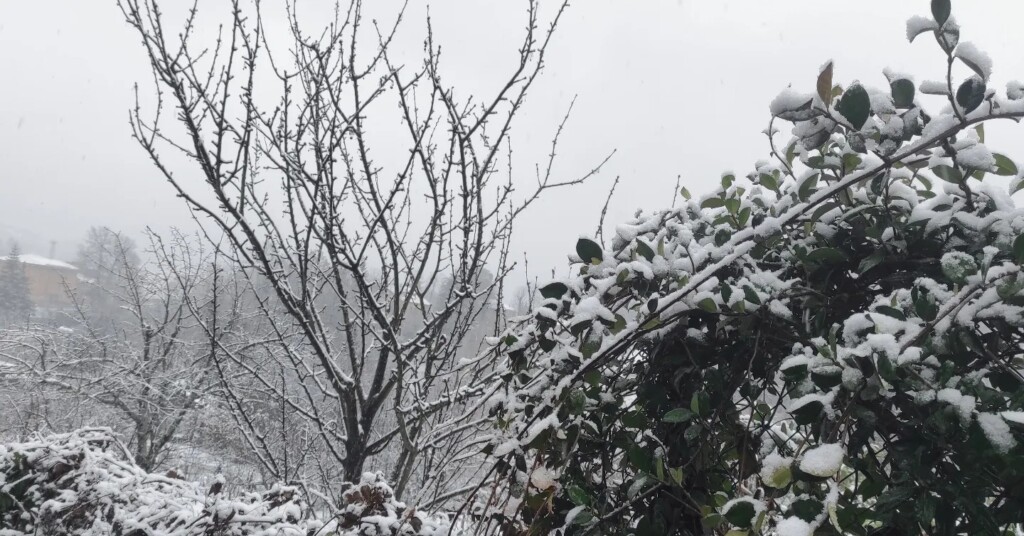 neve busalla liguria