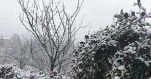neve busalla liguria