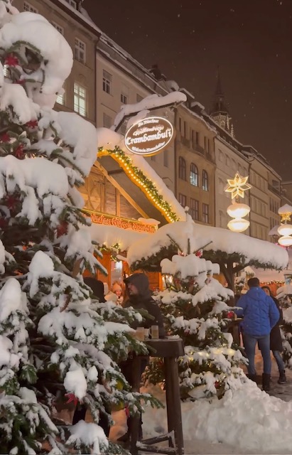 neve monaco di baviera germania ezio cairoli