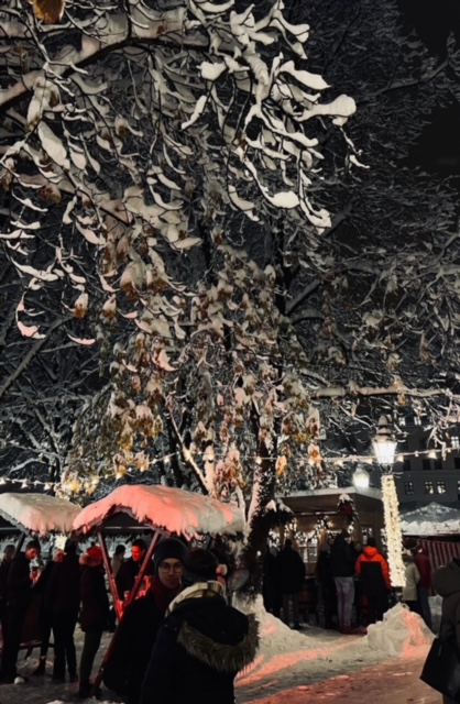 neve monaco di baviera germania ezio cairoli