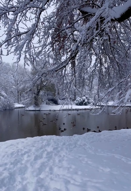 neve monaco di baviera germania ezio cairoli