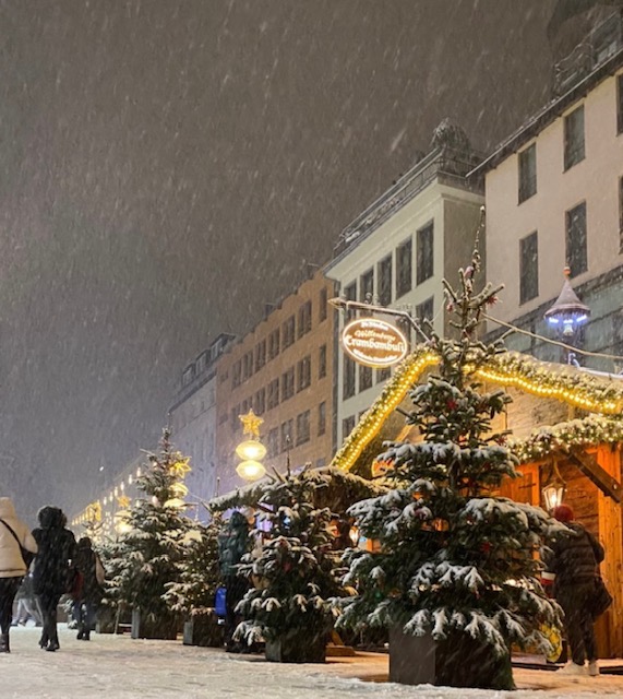 neve monaco di baviera germania ezio cairoli