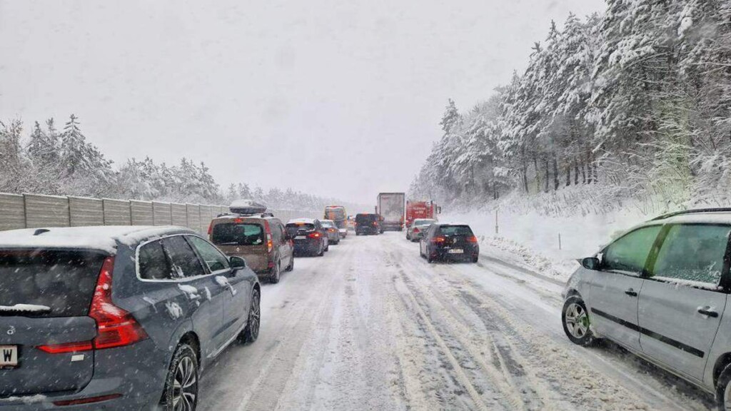 neve vienna