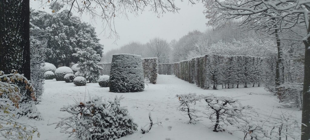 neve vienna