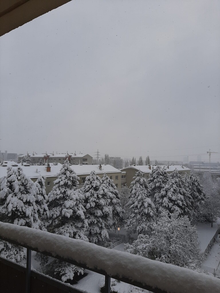 neve vienna