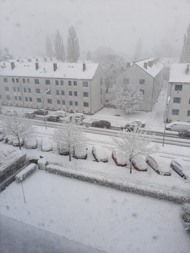 neve vienna