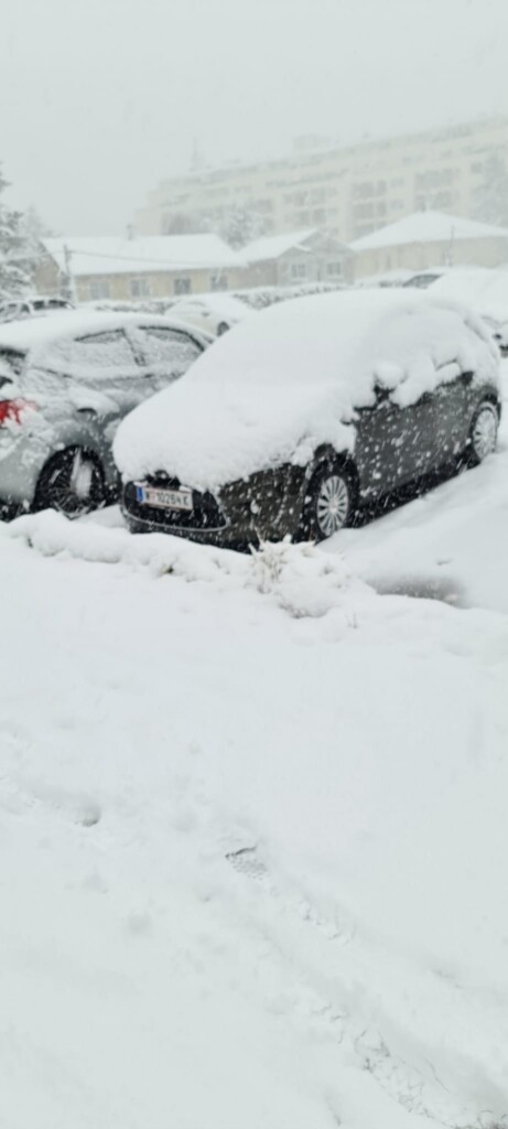neve vienna