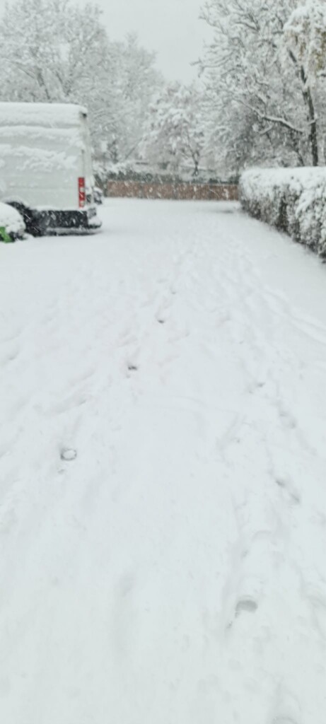 neve vienna