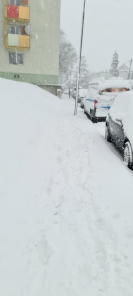 neve vienna