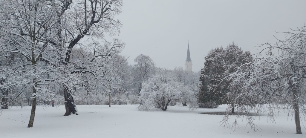 neve vienna