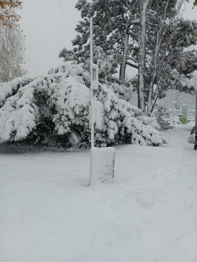 neve vienna