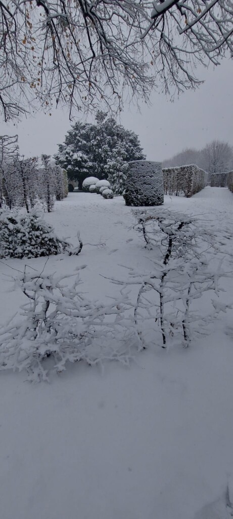 neve vienna