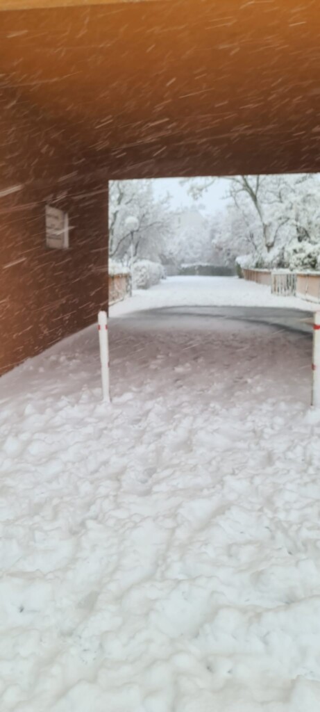 neve vienna