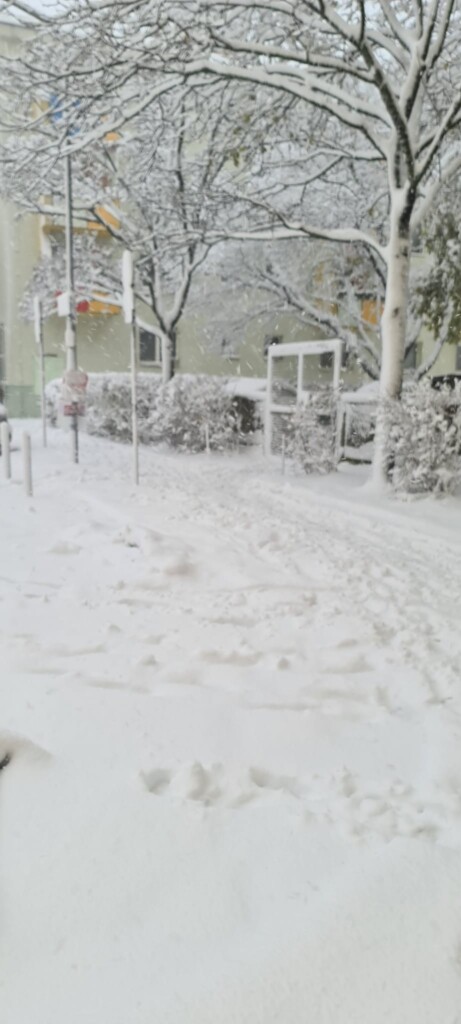 neve vienna