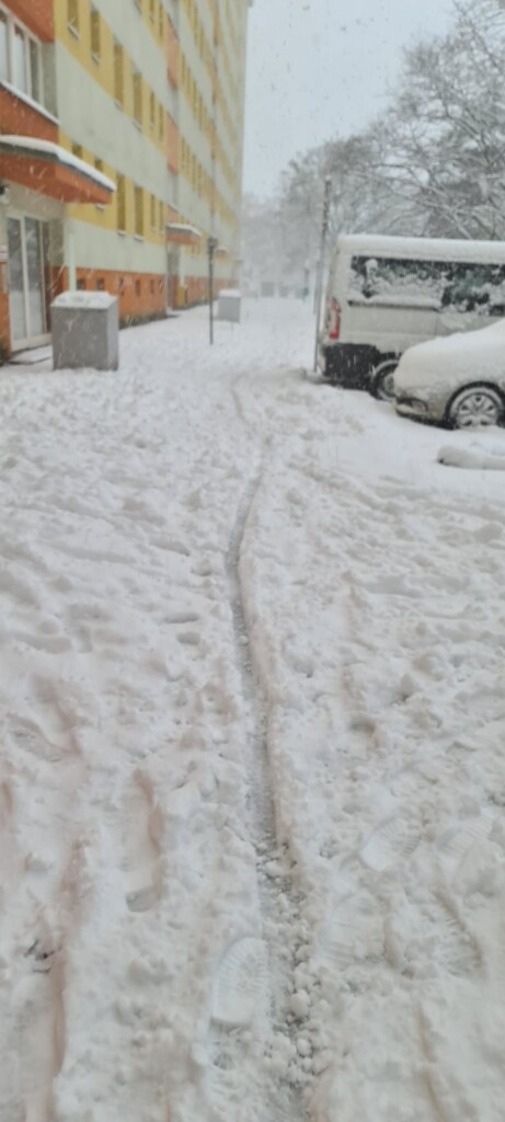 neve vienna