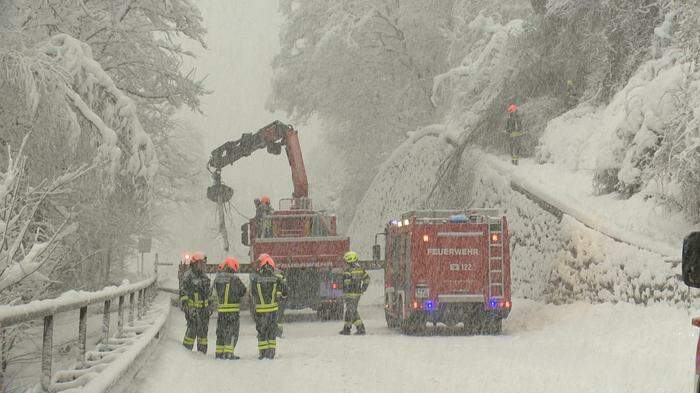 neve vienna