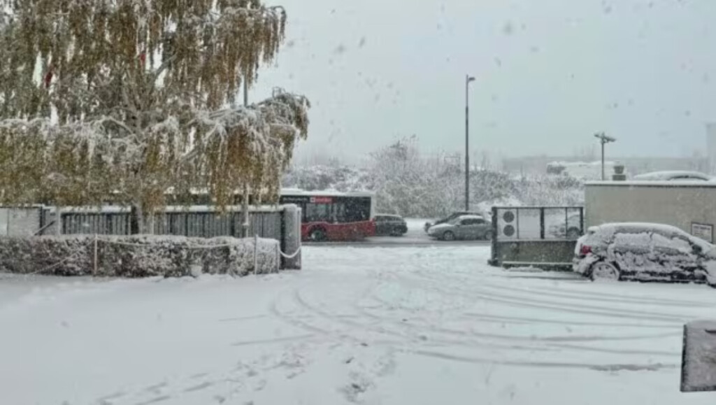 neve vienna