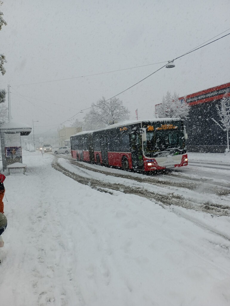 neve vienna