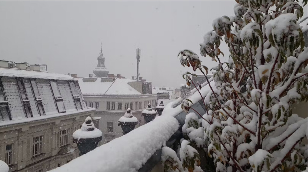neve vienna