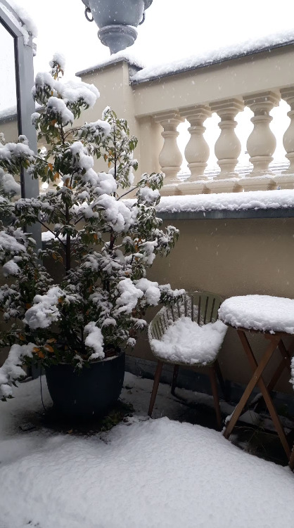 neve vienna