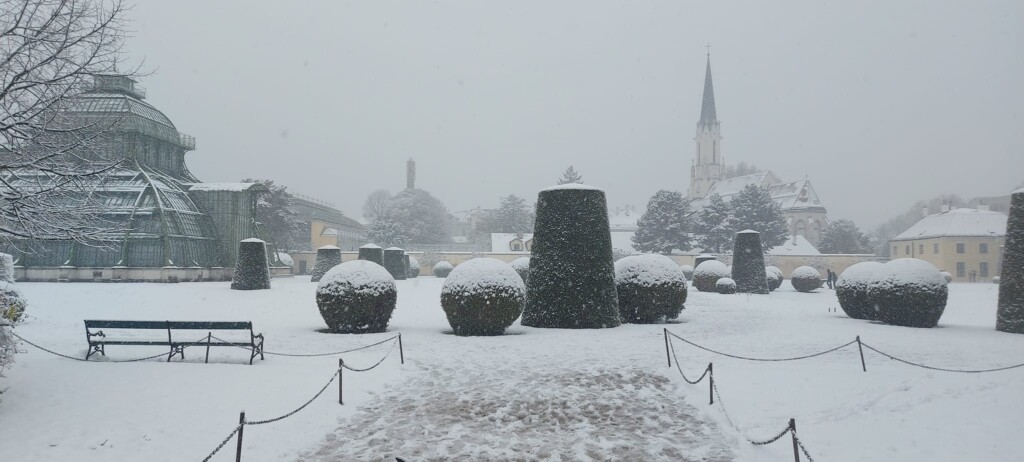 neve vienna