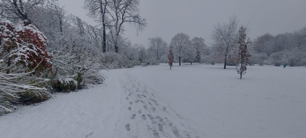 neve vienna